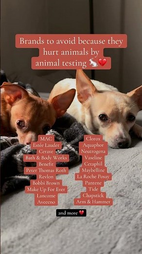 AVOID these brands that test on animals 💔 #crueltyfree #animaltesting #beauty #makeup