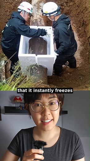 vt.physics on Instagram: "The Science of Ice Plugs: Repairing Pipes with Liquid Nitrogen! In a clever application of physics and engineering, technicians have found an efficient way to repair high-pressure water pipes - by freezing them. Using liquid nitrogen, which boils at –196°C, they rapidly cool a section of the pipe, causing the water inside to freeze solid. This frozen mass temporarily blocks the flow of water, effectively acting as a valve without the need for mechanical shutoff systems.