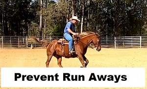No matter what you do with your horse, you want to control his energy and this includes teaching him to not run off with the rider. You want him to work hard then relax and recover so he can work hard again. This run hard then relax applies many disciplines and is essential to be a successful equestrian. | Tim Anderson Horse Training