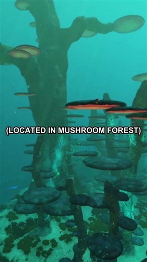 3 Things I WISH I Knew Before Starting Subnautica (pt.2)