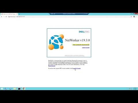 Dell EMC Networker 19.3 Installation