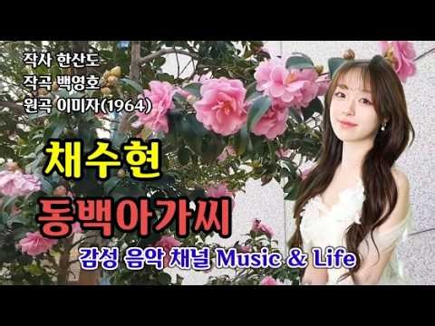 💖동백아가씨♡채수현(원곡이미자 1964)