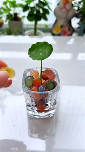 Used a small teacup grow flowers drop rain-stone so beautiful #shorts #plants #flowercrafts