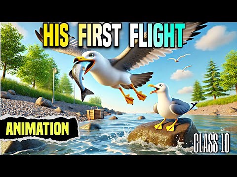 His First Flight Class 10 | two stories about flying class 10 his first flight | part 1 | animation