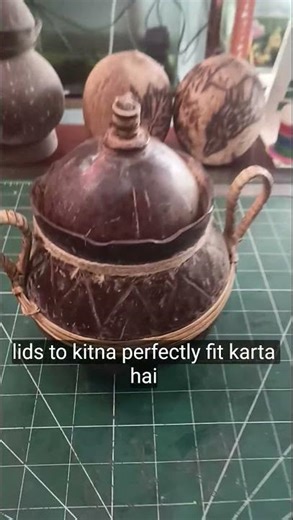 DIY Coconut Shell 🍯 Pot//Coconut Shell Craft Ideas//waste material craft ideas #shortsfeed #diy