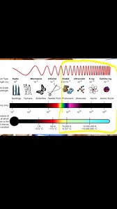 157K views · 1.9K reactions | This will help you see microwaves | The Action Lab | Facebook