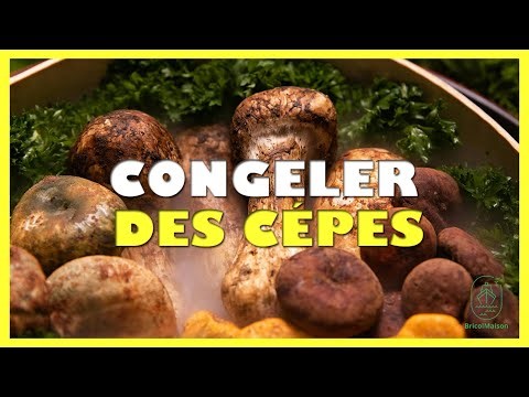 Comment congeler des cèpes