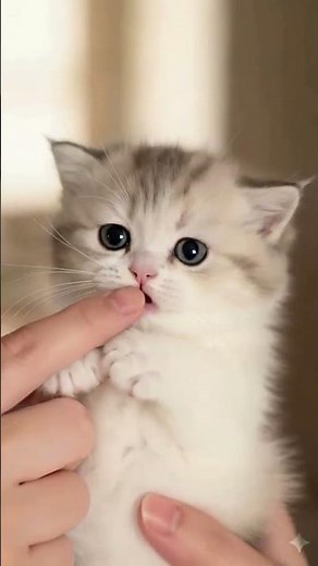 👉🏻 Gentle Nose Boops for the Tiny Fluffball! 💖