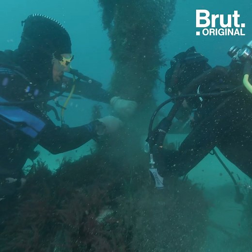 135K views · 1K reactions | Perdus en mer, ces filets de pêche tuent des milliers de poissons, tortues et cétacés. Pour lutter contre la pollution marine, les plongeurs de Palana Environnement les récupèrent dans les fonds marins pour les revaloriser à la surface. Brut a suivi l'association marseillaise en mer Méditerranée. | Brut | Facebook