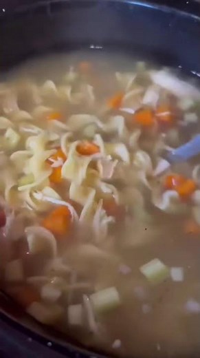 The best homemade chicken soup/