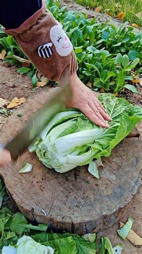 The Fastest Vegetable Prep You'll Ever See! 🤯