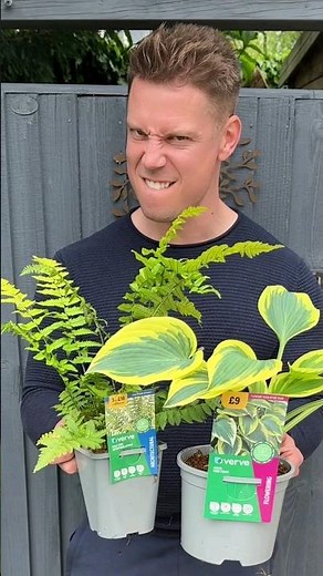 Transform your garden using ‪@gardenwithjonny‬’s top tips! 🌱🦋🌺 #DIYtips #Howto #BandQ