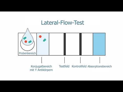 Wie genau funktioniert ein Antigen Schnelltest / Corona Schnelltest?