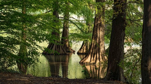 National Geographic says this southern spot offers the best outdoor adventure in Illinois