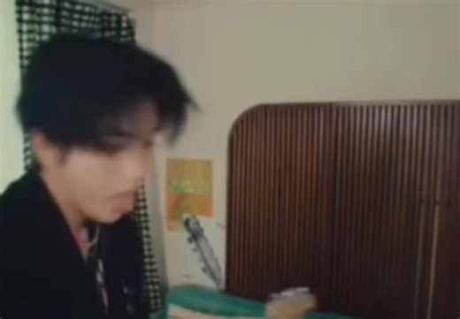 Exploring Stray Kids' Han Ji Sung's Journey