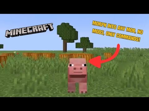 HOW TO MORPH INTO ANY MOB WITHOUT USING MODS! (Minecraft Java Edition Tutorial)