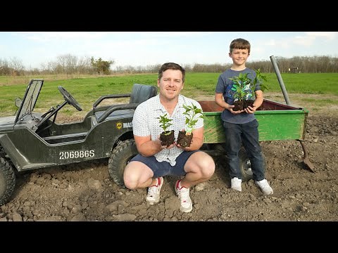 Playing in the Dirt and Watering Plants with Kids Truck | Tractors for kids