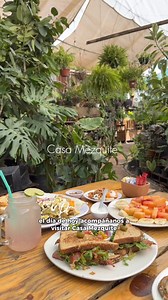 ¿Sabías de este lugar vivero restaurante en Aguascalientes? 😱🌱🍴 📍Ubicado en: Av. Eugenio Garza Sada #48, Los Pocitos, 20328 Aguascalientes, Ags.#aguascalientes #aguascalientesmexico #comida #adondeir | ¿Qué hay en Ags?