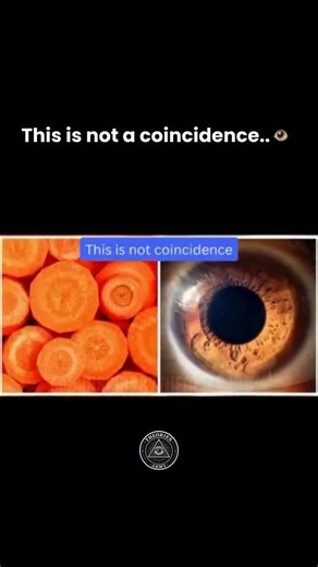 Conspiracy on Instagram: "They told us it was just “random shapes in nature”… but the truth is, food has been whispering secrets to us all along. Here’s what they don’t tell you: ✅ Slice a carrot—it mirrors the human eye. Carrots are rich in beta-carotene, proven to support vision. ✅ Crack open a walnut—it looks like the brain. Walnuts are loaded with omega-3s, vital for brain health. ✅ Grapes resemble lung sacs, tomatoes resemble the heart, kidney beans mirror kidneys—the patterns repeat too pe