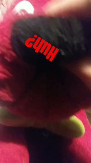 Clifford was just trying to play Mods for hello neighbor 1.. #helloneighbor #memes