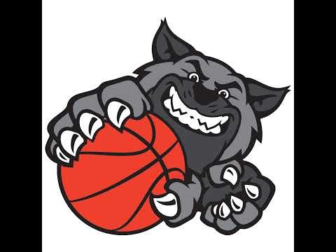 Wildcats U16 vs LPs Focșani - 31/01/2026