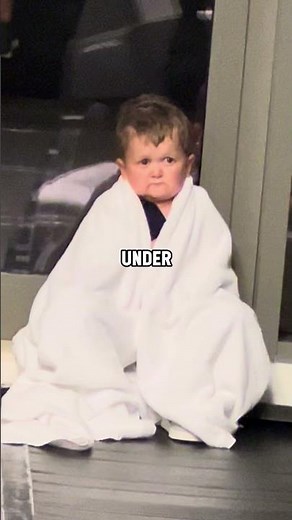 Do not forget! Hasbulla is the Master.