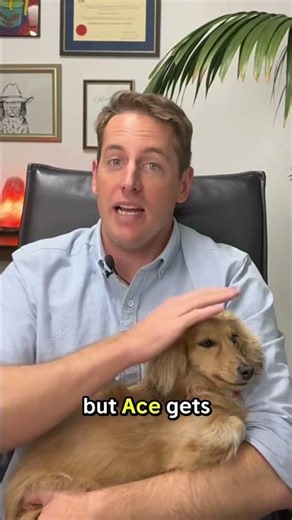 Can my dog eat cottage cheese or Greek yogurt?