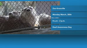 Zoo Knoxville celebrates Deaf Awareness on Monday