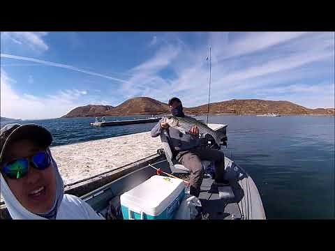 Valco V Hull 12 Foot Aluminum To Bass Boat Conversion