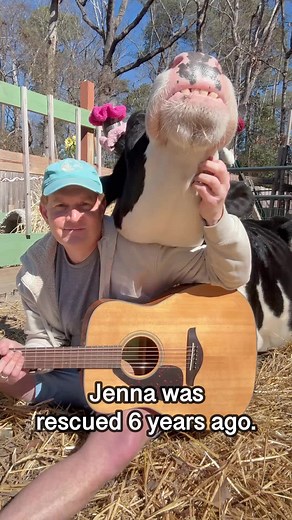Life With Pigs: Jenna's Journey to a Better Life