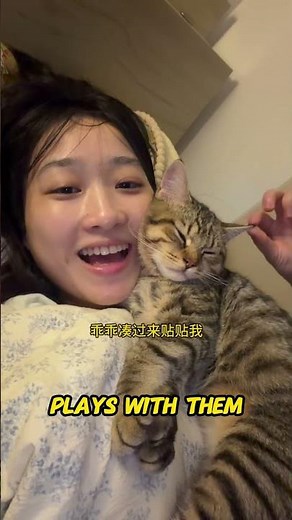 Why Cats Choose One Favorite Person | The Science Behind Feline Favorites