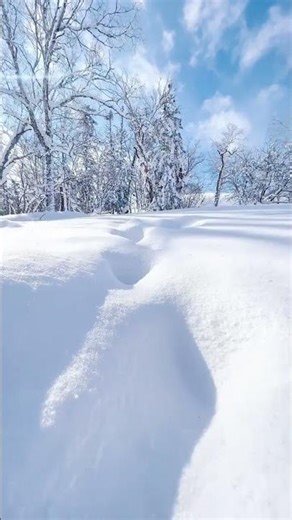 #Thank you Douyin platform for pushing the hot topic Let s Go#Ice and Snow Gallery#Appoint