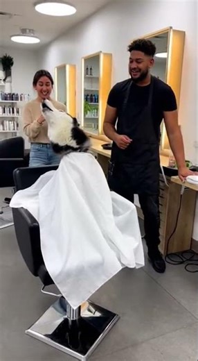 He saw the scissors and chose drama 😭