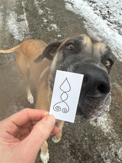 Biogeometry Sticker: Electro-sensitivity Support - Wireless EMF - Etsy