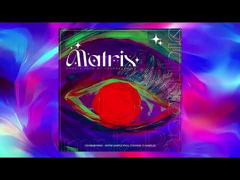 [FREE] Wheezy Loop Kit/Sample Pack 2021 | Wheezy, Taurus, Section 8, Chi Chi, Turbo, Experimental