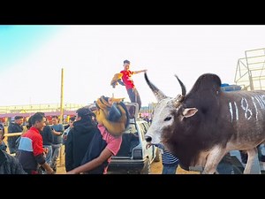 Shad ki nong kyrshan u Lieh heh jop ia u syang mookyndur / lieh heh song / best khasi song