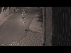 Vampire Snatches Jogger