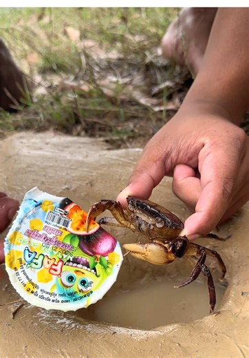 Essential Survival Skills for Bushcraft Enthusiasts