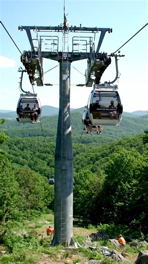 World Disaster on Instagram: "Amusement Park Ride Disaster, Malfunction Leads to Shocking Collapse! #disastercollapse #fyp #viral #reels"