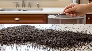 647K views · 5.8K reactions | Tired of ants invading your kitchen,...