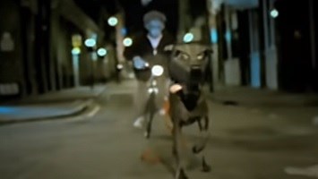 ＜歌詞和訳＞Hit That – The Offspring　曲の解説と意味も | LyricList (りりっくりすと)