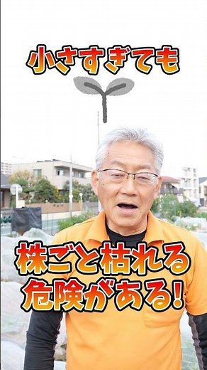 ソラマメの冬越し！栽培のポイントを解説【農園ライフ】#shorts