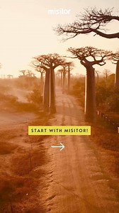 Embark on an unforgettable journey with our Majestic Madagascar tour! Explore the unique beauty of this island nation, where breathtaking landscapes, rich biodiversity, and vibrant culture await you. #misitor #Madagascar #internationaltravel #exploremadagascar #lovenature #misitorexpedition | Misitor