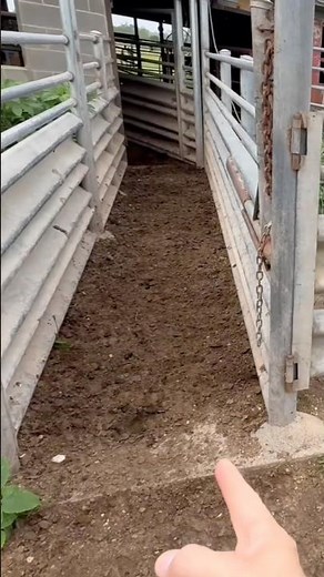 BUD BOX LAYOUT #ranching #farming #budbox #cow