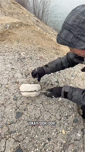 What’s inside this rock? #agateariel #fossil #rockhounding