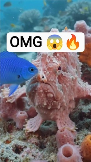 Witness the predatory prowess of this aquatic marvel. 🌊😱🐠 #ocean