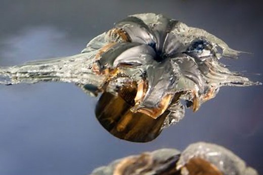 Self-Defense Ammo Tested in Lucky Gunner Ballistics Test