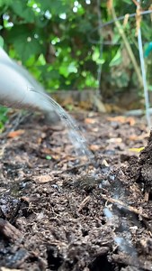 7.7K views · 54 reactions | PVC watering systems are such a...