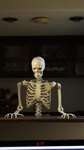 skeleton animation test! happy Halloween!!! #fyp #skeleton #animation #stopmotion #halloweenlook