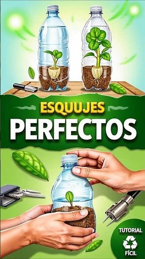 How to Make Perfect Cuttings with 2 Bottles